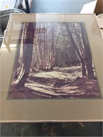 Framed Art "Forest Trail" 28"x32"