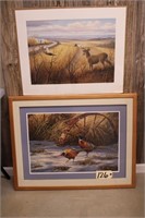 (2) pictures-pheasants framed