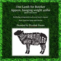 Lamb for Butcher - Donated by Prysliak Farms