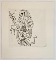 K. Wesson Signed Original Owl Sketch