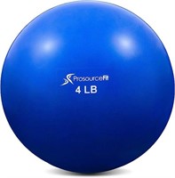 ProsourceFit Weighted Toning Exercise Ball 4lb