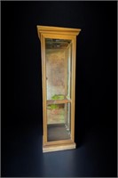 Lighted Glass & Wood Curio Cabinet W/ Glass