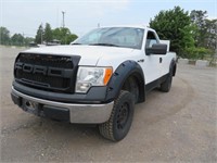 2010 FORD F150 255445 KMS