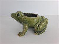Frog flower pot
