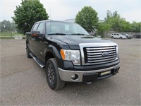 2011 FORD F-150 246222 KMS