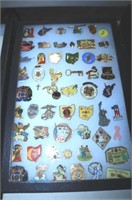 FRAME OF VFW PINS