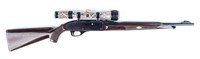 Gun Remington Nylon 66 Semi Auto Rifle .22lr