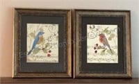 Pair of Framed Bird Prints Note the Blue Bird Has