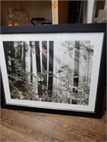 Woods Print