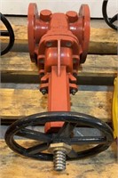 FNW 6" Fire Main Gate Valve