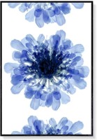 Birdhaus Design Abstract Flower X-Ray Wall Art