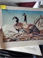 Signed & #Ed Francis Sweet 849/959 Duck Print