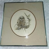 Framed White Owl Signed by J Carson