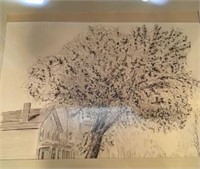 Print of Buffalo’s Oldest Tree
