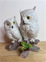 Two White Snowy Owls Sitting On A Branch By Andrea