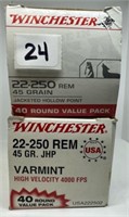 (80) Rounds Winchester 22-250 Rem JHP.