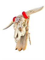 Long Horn Native American Cattle Skull