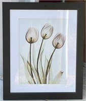 Framed Floral Print 10”x23”