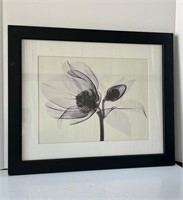 Framed Floral Print 19”x23”