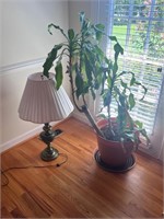 Brass lamp & plant plastic planter