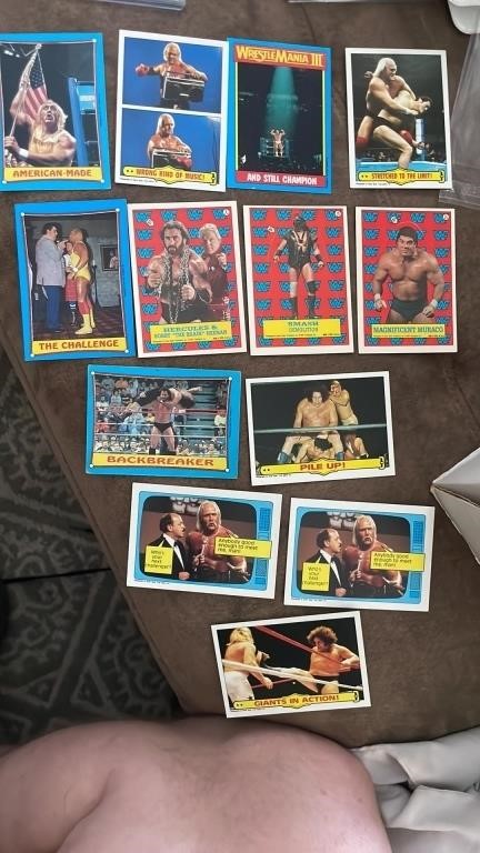 Vintage WWF wrestling lot with seven hulk hogans | Live and Online ...