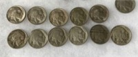 Buffalo Nickels (12)