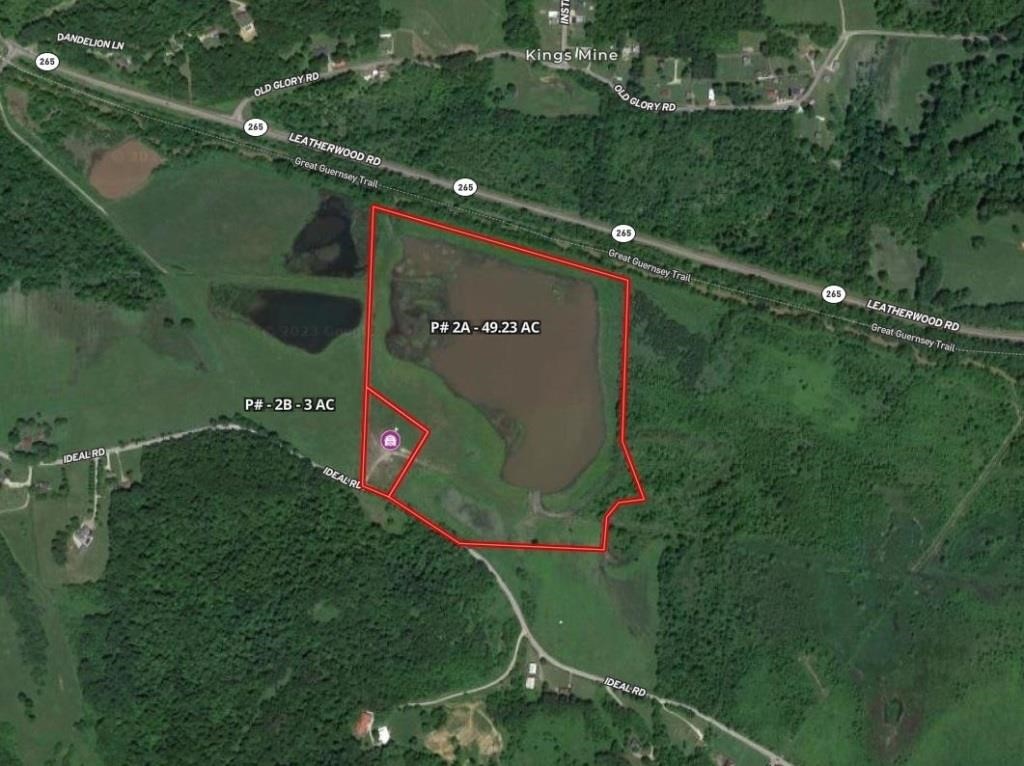 Auction Parcel #2A - VACANT LAND W/ POND 49.2 AC