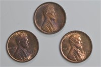 3 - Lincoln Head Wheat Cents 1909 VDB, 1929 and