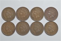 8 Indian Head Cents 1902-1909