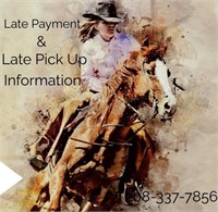 Late Payment/ Late Pick Up Information