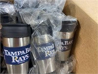 Tampa Bay rays stainless steel Tumblr