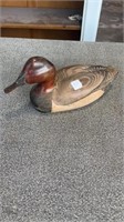 Tom Taber Wood Duck