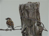 1985 House Sparrow by Robert Bateman