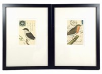 Framed & Matted Bird Postcard Prints