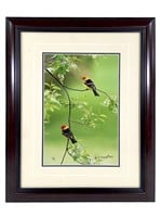 Framed High Res. Tanager Bird Photo Mangelson