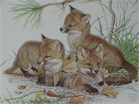 1985 Young Foxes Glen Loates