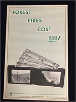 1972 Forest Fires Cost You Poster
