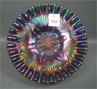 Dugan Elec Purple Petal & Fan CRE Plate