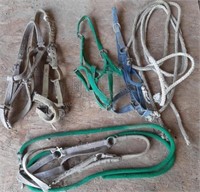 Halters w/ Lead Ropes