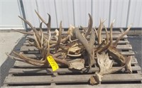 Variety of Sheds