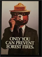 Only You Can Prevent Forest Fires Poster