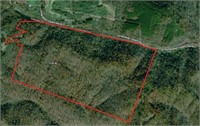 Auction Parcel #15 - WOOD CO WVA-218 AC