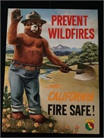 California Prevent Wildfires Poster
