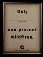 U.S. Forestry Poster