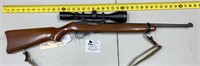RUGER 10-22 with Scope