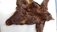Black Bear Rug Cinnamon color Red-brown Fur