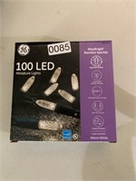 Miniature LED Lights (living room)