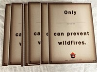 Prevent Wildfire Posters 9 in the lot