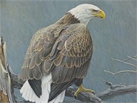 1985 Weathered Branch Bald Eagle Robert Bateman