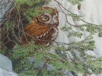 1983 Winter Refuge Screech Owl Marc Barrie